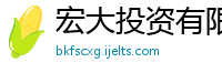 宏大投资有限责任公司